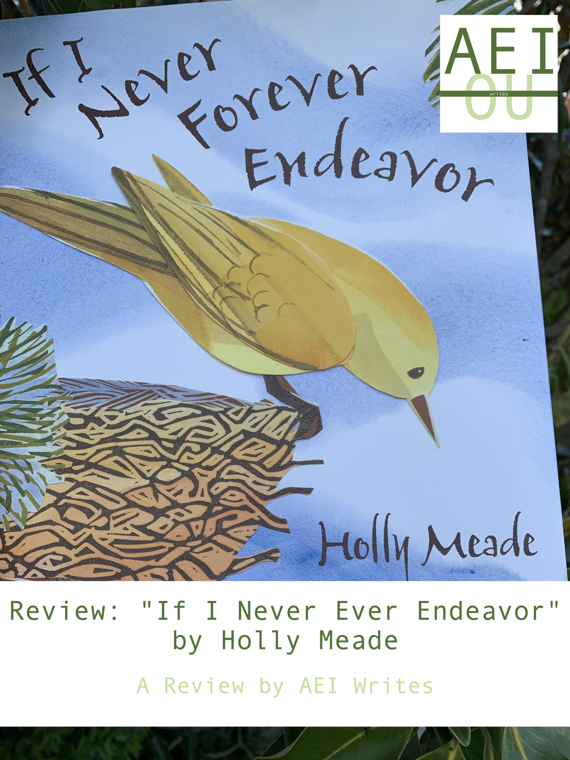 Review: “If I Never Ever Endeavor” by Holly Meade